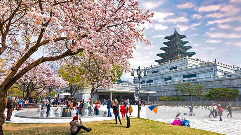 du học hàn quốc