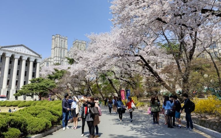 học phí các trường Hàn Quốc